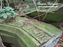 Widok ruin cmentarza